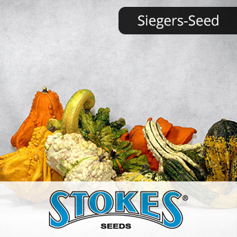 Sieger-seed