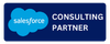 Salesforce Partner
